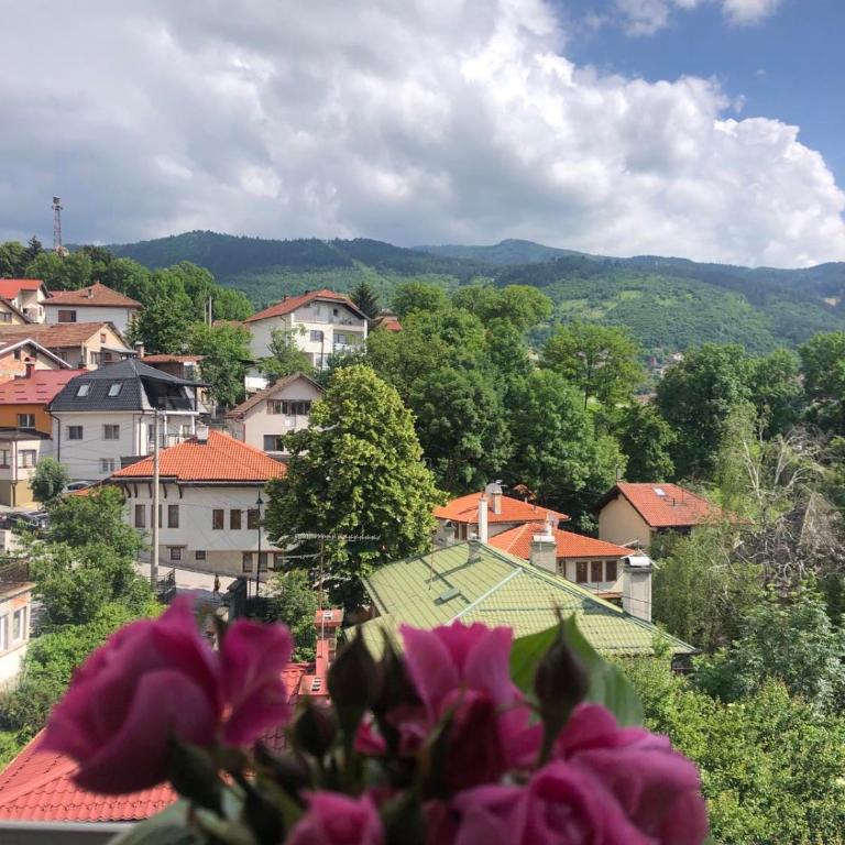 Hedgehog's Home - Ježeva kućica Free Parking - One-Bedroom Apartment - 1