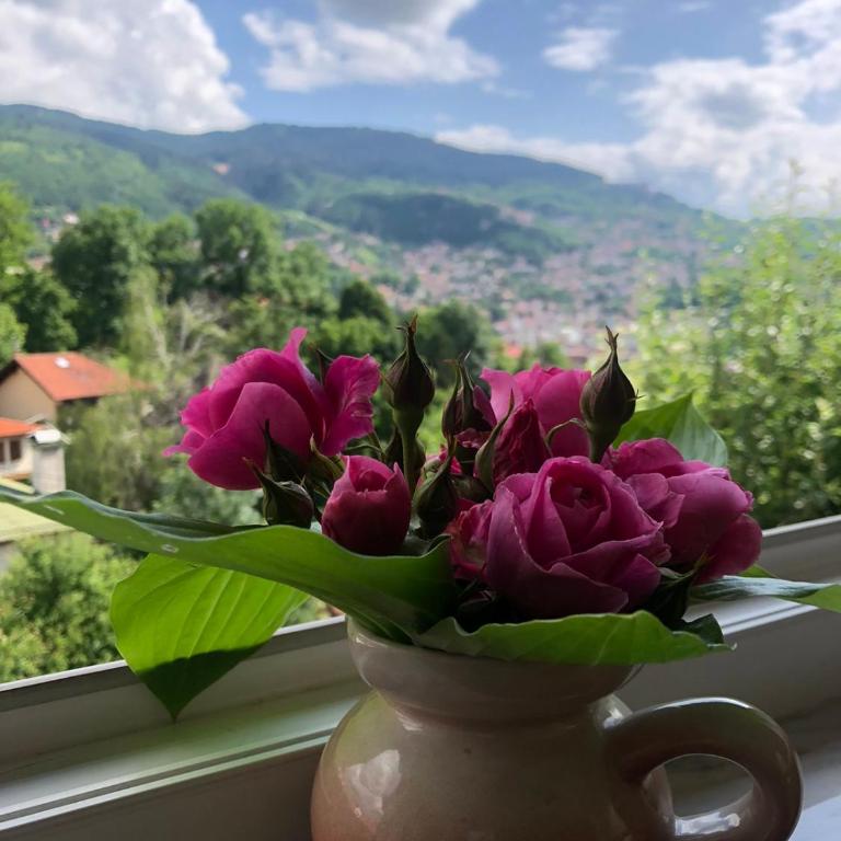 Hedgehog's Home - Ježeva kućica Free Parking - Apartman sa 1 Spavaćom Sobom - 39