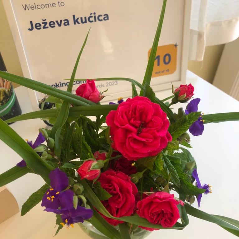 Hedgehog's Home - Ježeva kućica Free Parking - One-Bedroom Apartment - 44