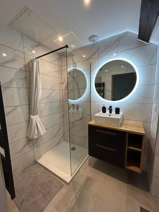 Le Darcy, grand appartement centre ville Dijon, proche gare - Appartement 1 Chambre - 6