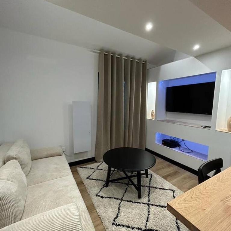 Le Darcy, grand appartement centre ville Dijon, proche gare - Appartement 1 Chambre - 8