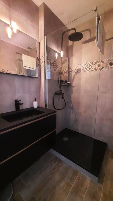 Appartement T2, 1 seule chambre, très lumineux - Appartement 2 Chambres - 6
