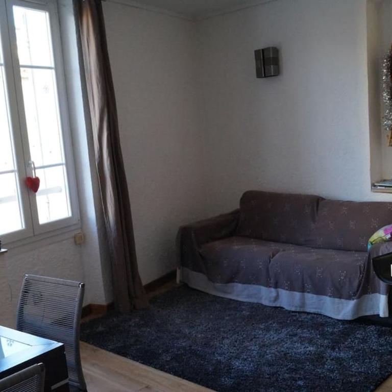 Appartement T2, 1 seule chambre, très lumineux - Appartement 2 Chambres - 13