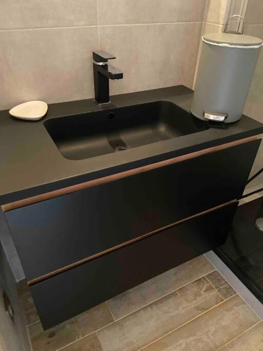Appartement T2, 1 seule chambre, très lumineux - Appartement 2 Chambres - 14