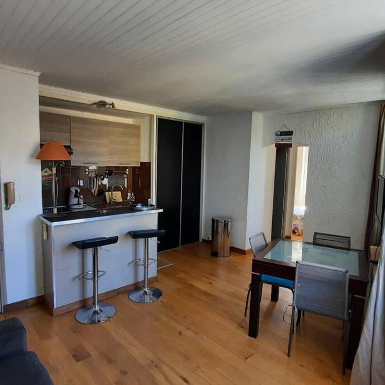 Appartement T2, 1 seule chambre, très lumineux - Appartement 2 Chambres - 18