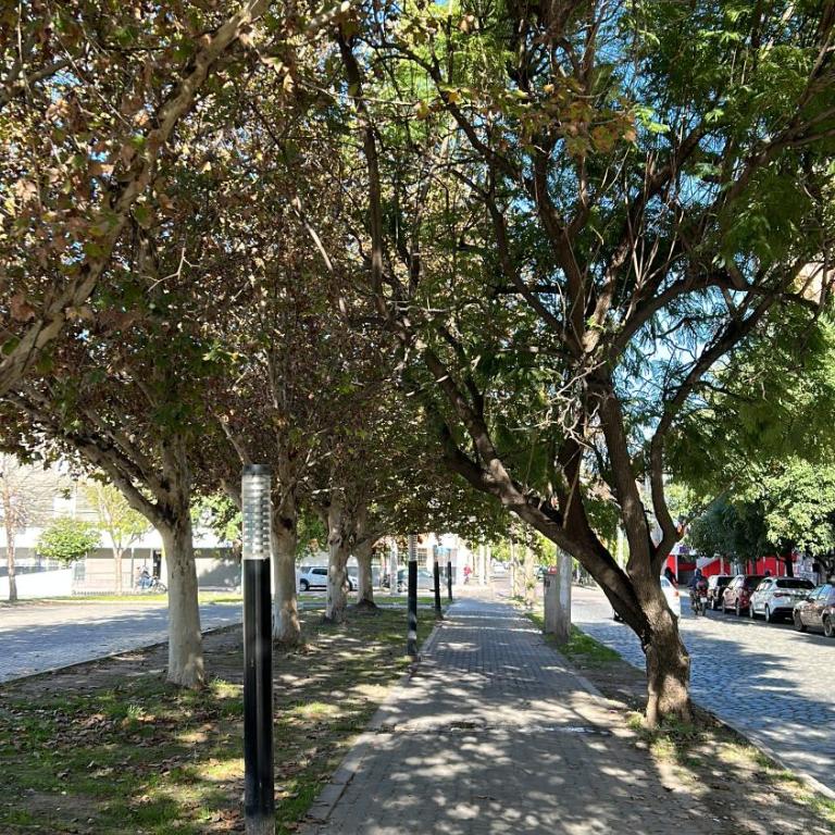 Suite Alvear - Apartamento de 1 dormitorio - 18