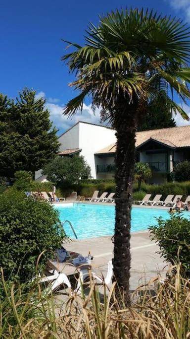 Maison Nature Golf Océan Moliets et Maa Landes - Maison 3 Chambres - 25