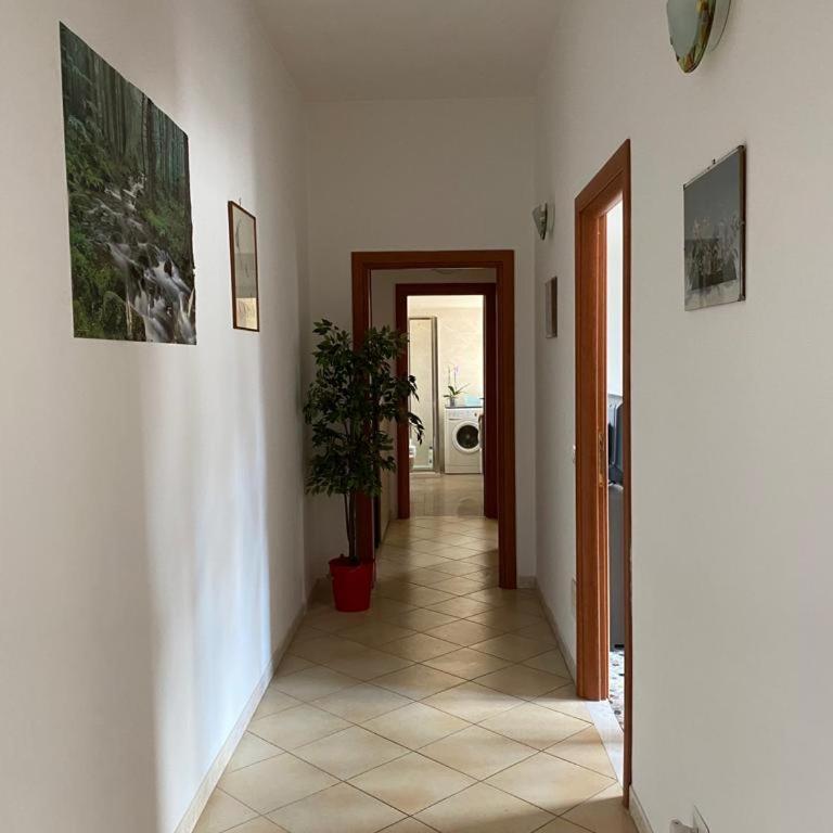 Pisana 247 St Peter - Two-Bedroom House - 21