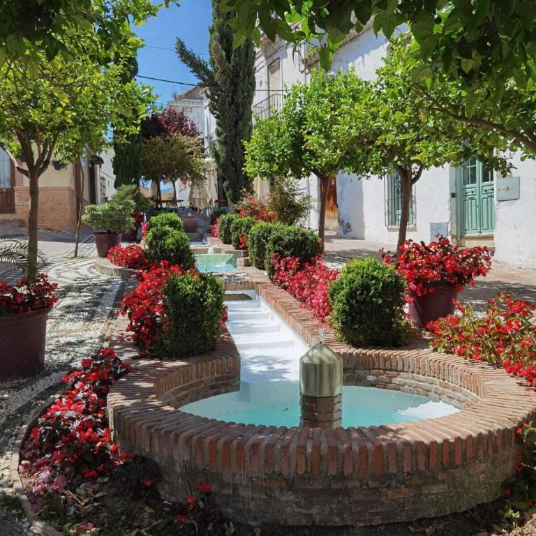 Casa Gibraltar - Apartamento - Planta baja - 32