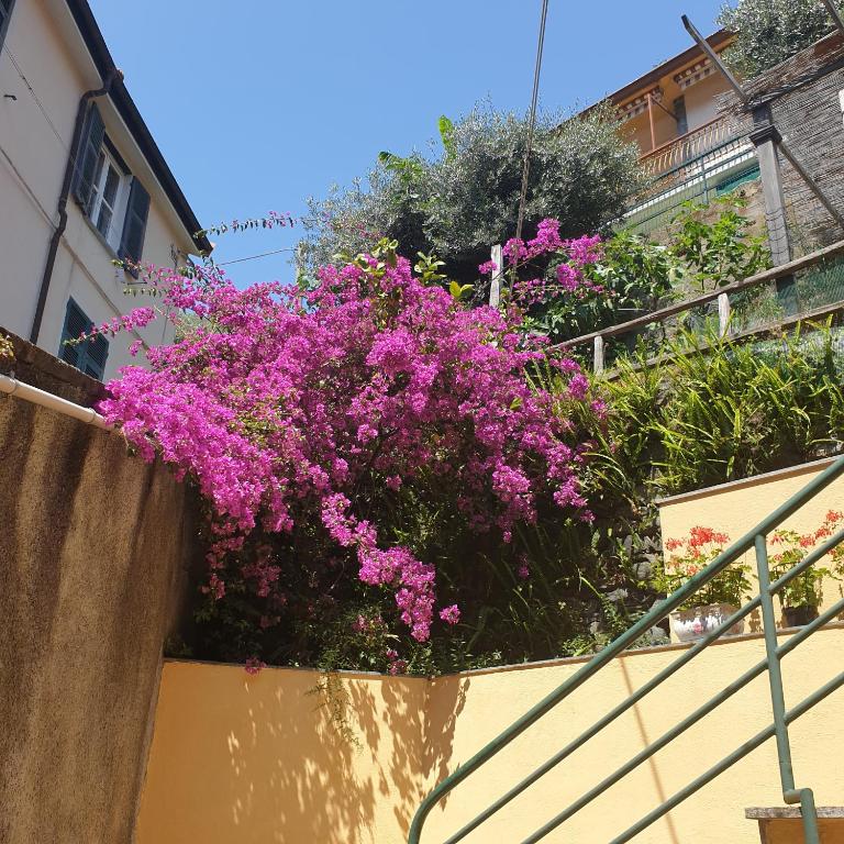 Casa del trogolo - Apartamento de 2 dormitorios - 19