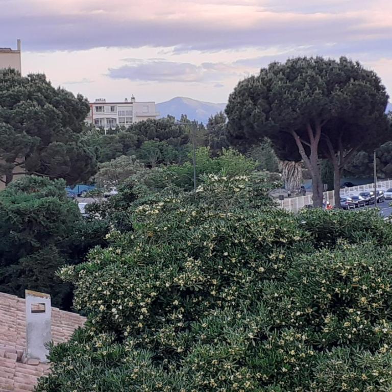 La Marina - One-Bedroom Apartment - 24