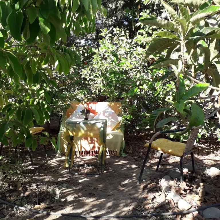 Pura Vida El Molle - Casa de campo - 22