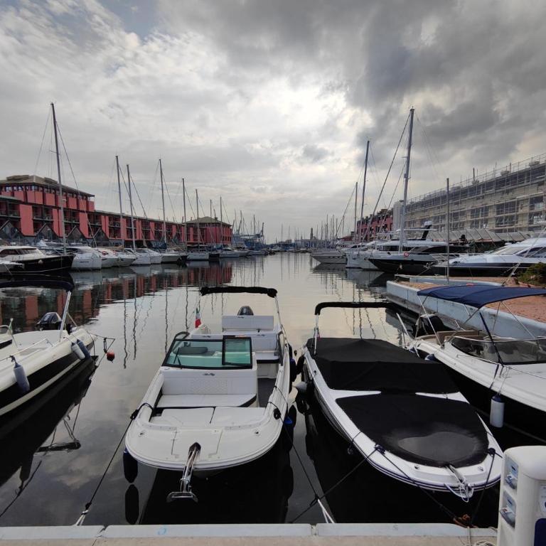 Appartamento vacanze Cavalli - One-Bedroom Apartment - 14