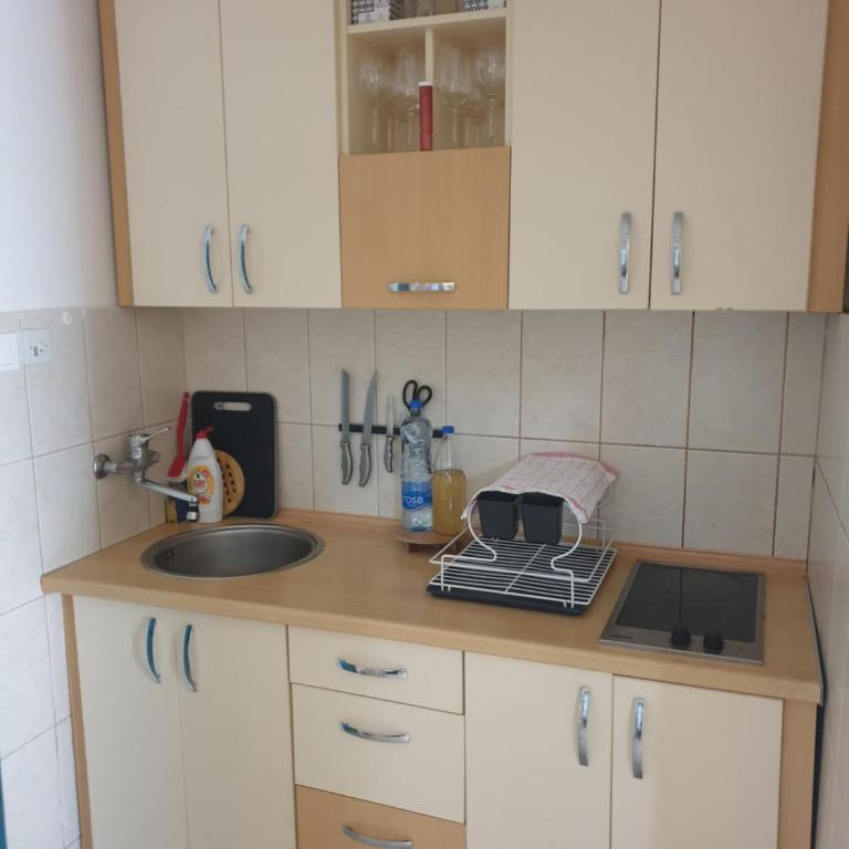 Apartmani Ema - Apartman sa 2 Spavaće Sobe - 10