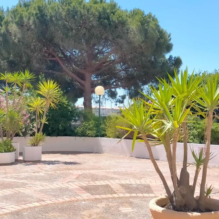 Studio Cap d'Agde la grande voile - Apartment mit 1 Schlafzimmer - 26