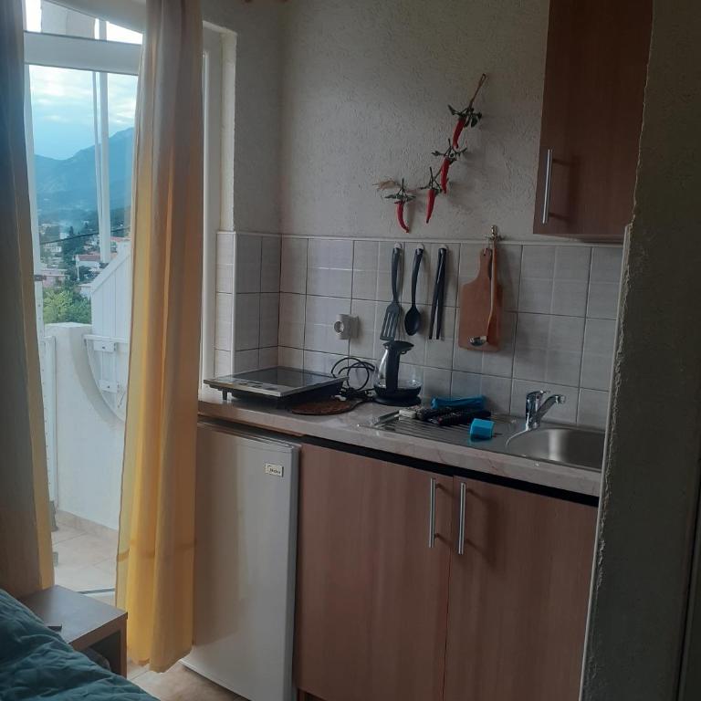 OLGA apartmani - Apartman sa 1 Spavaćom Sobom - 4