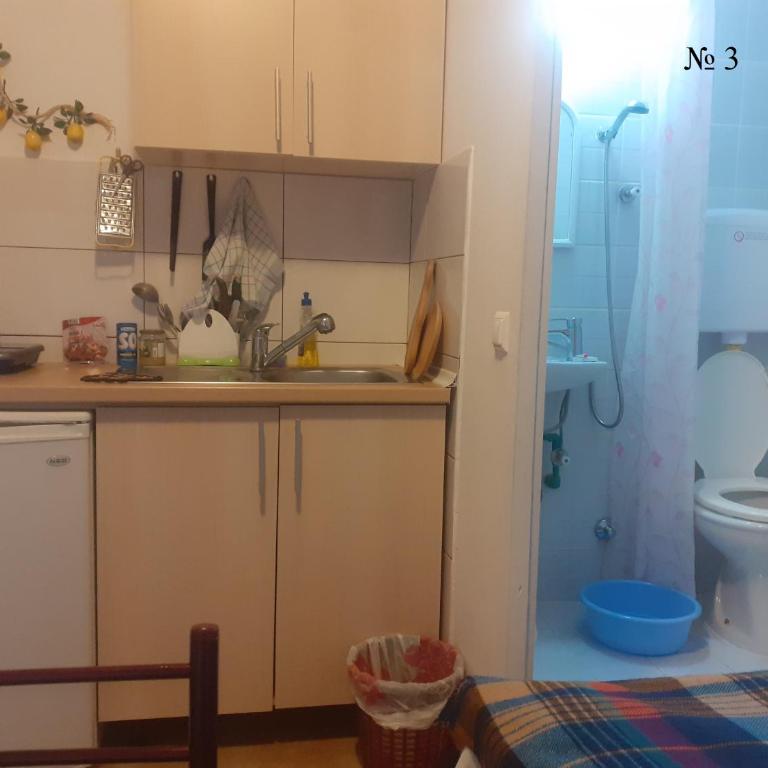 OLGA apartmani - Apartman sa 1 Spavaćom Sobom - 1