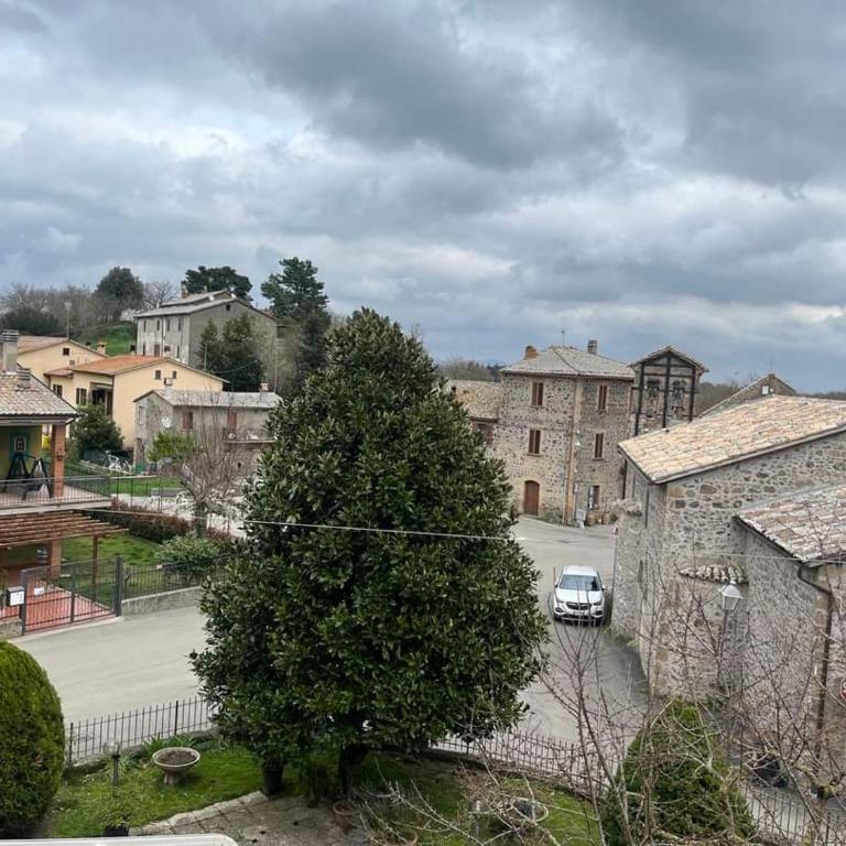Casa vacanze il Mandolino tra Orvieto e Bolsena - Appartamento con 1 Camera da Letto - 15