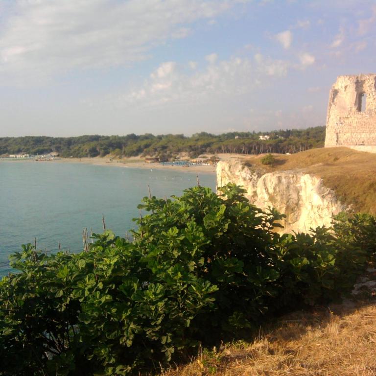 Villetta con ampio giardino a due passi dal mare - Casa con 2 Camere da Letto - 53