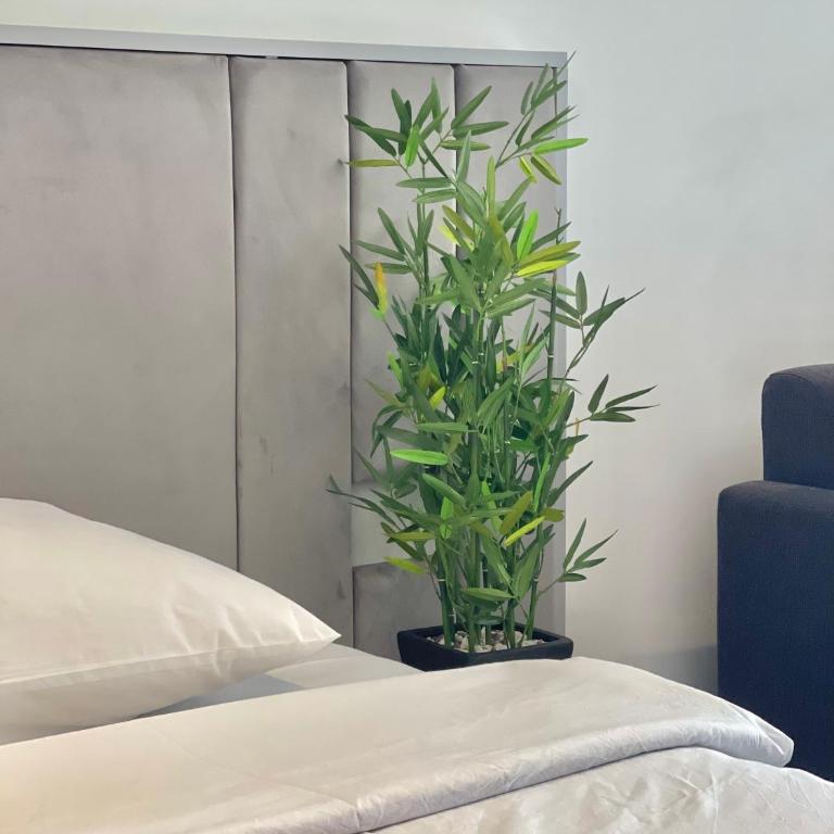 Horizon Residences Andjela - Standardni Studio - 9