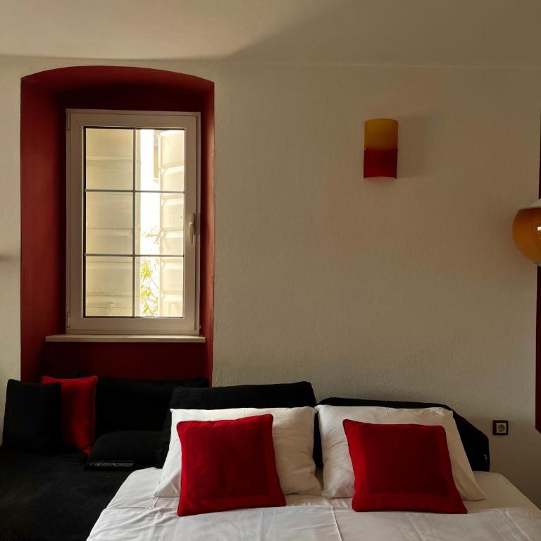 Hidden Gem Studio Apartment - One-Bedroom Apartment - 20