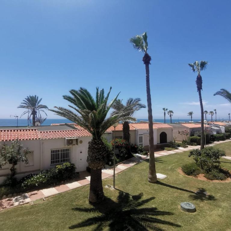Tropicana playa - Family Studio - 11