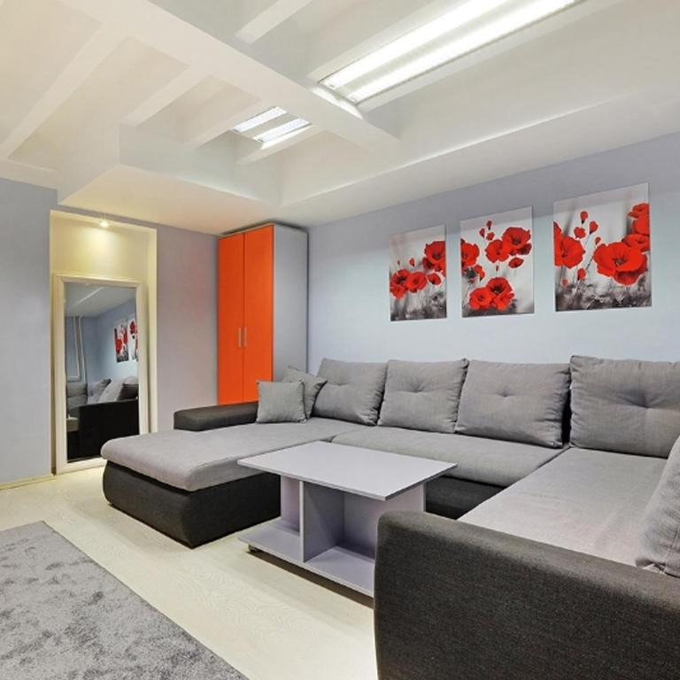 Apartman Tara - Apartman sa 1 Spavaćom Sobom - 2