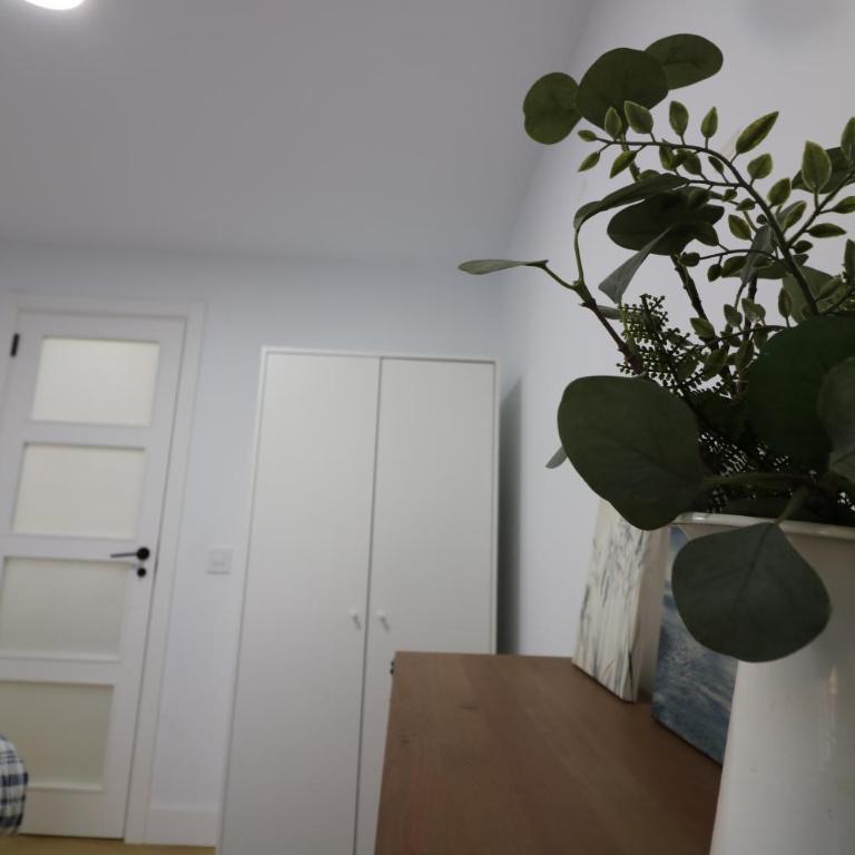 Lovelly renovated apartment - Two-Bedroom Apartment - 27