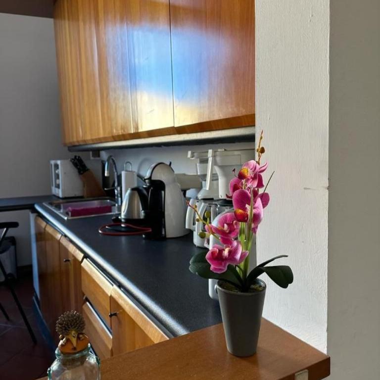 Soffiano Flat Firenze - Charming Italy Tour - Appartamento - 9
