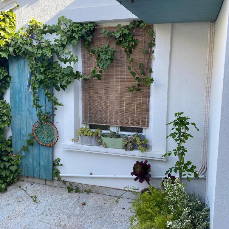 La Charmette - Villa - 17