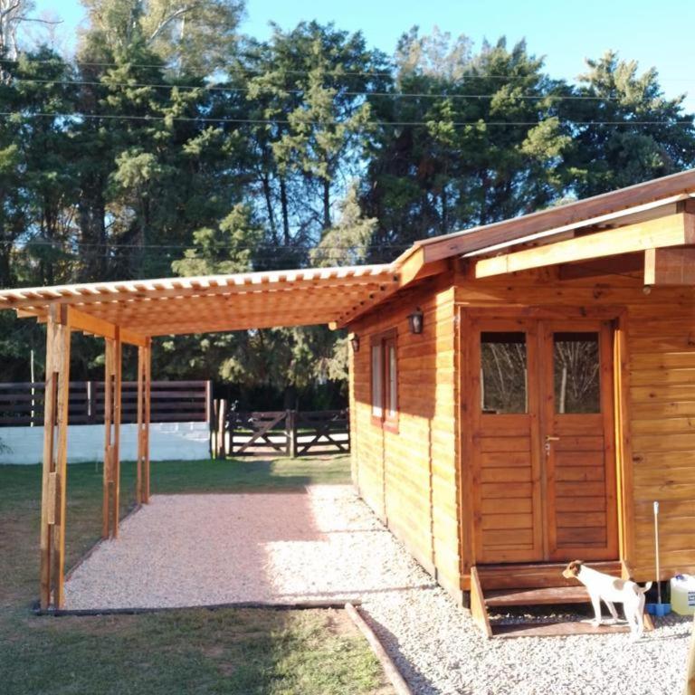 Cabaña Los Alamos - Apartamento de 1 dormitorio - 5