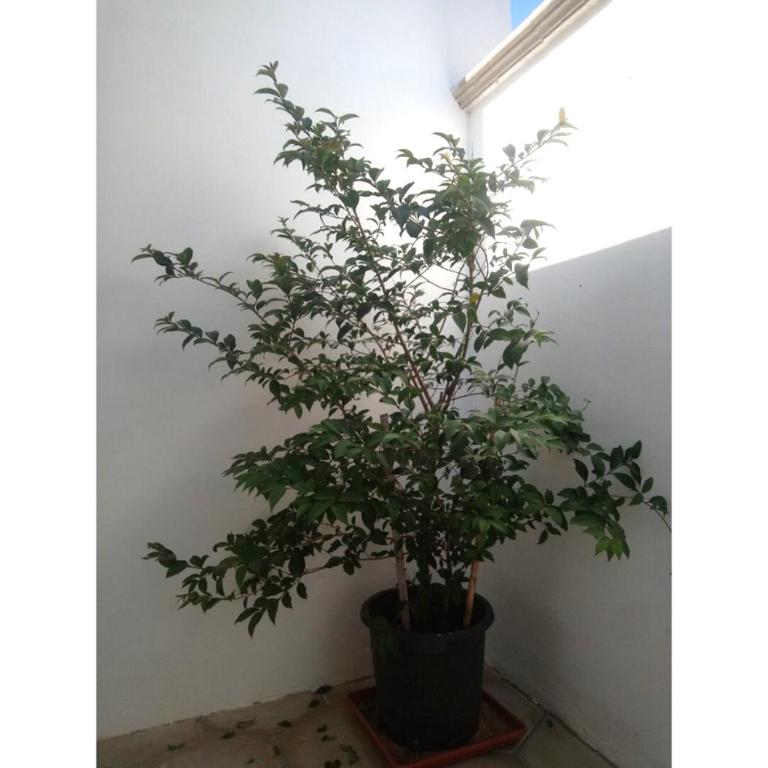 La Torre Apartment by My Home Apulia - One-Bedroom Apartment - 21
