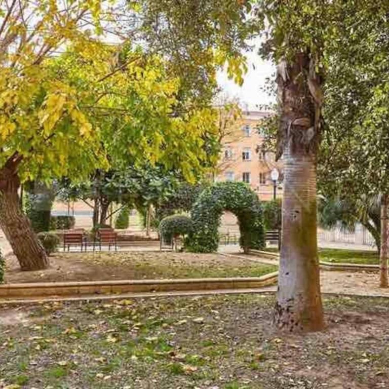 Apartamento en el Centro de Alicante - Apartment - 15