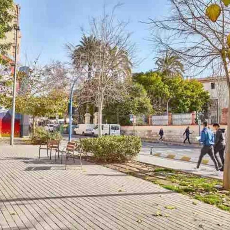 Apartamento en el Centro de Alicante - Apartment - 14