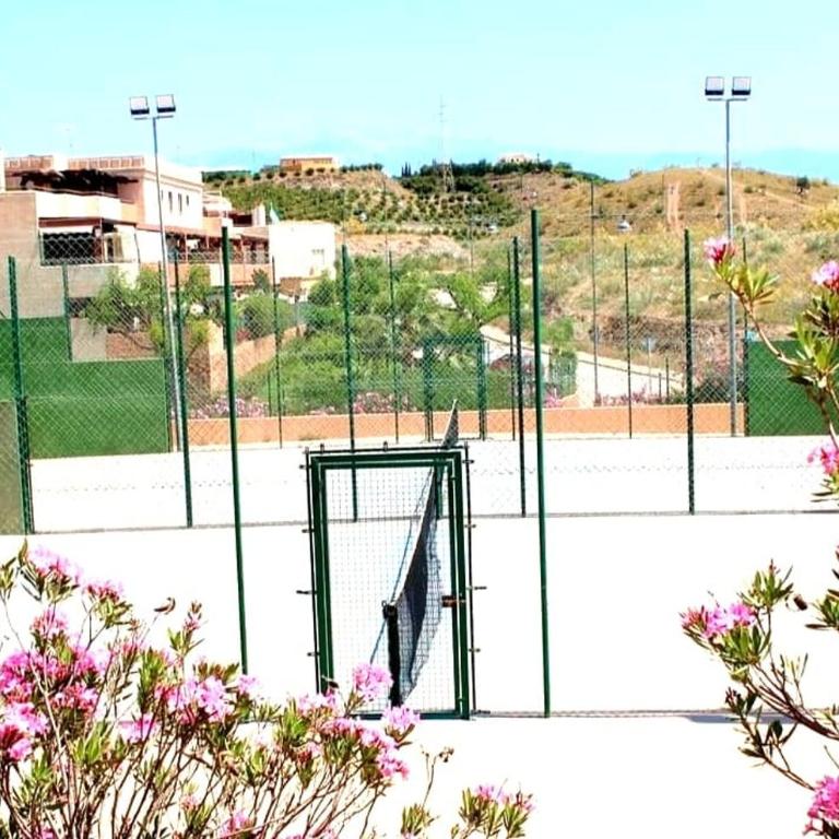 Brisa Mar - Casa de 2 dormitorios - 17