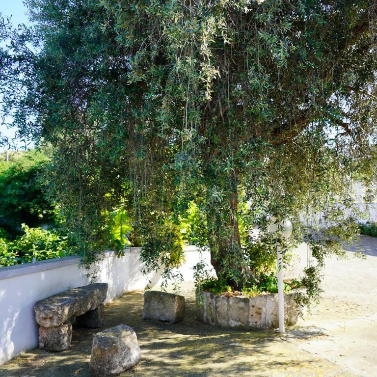 Il Giardino - Appartamento con 1 Camera da Letto - 22