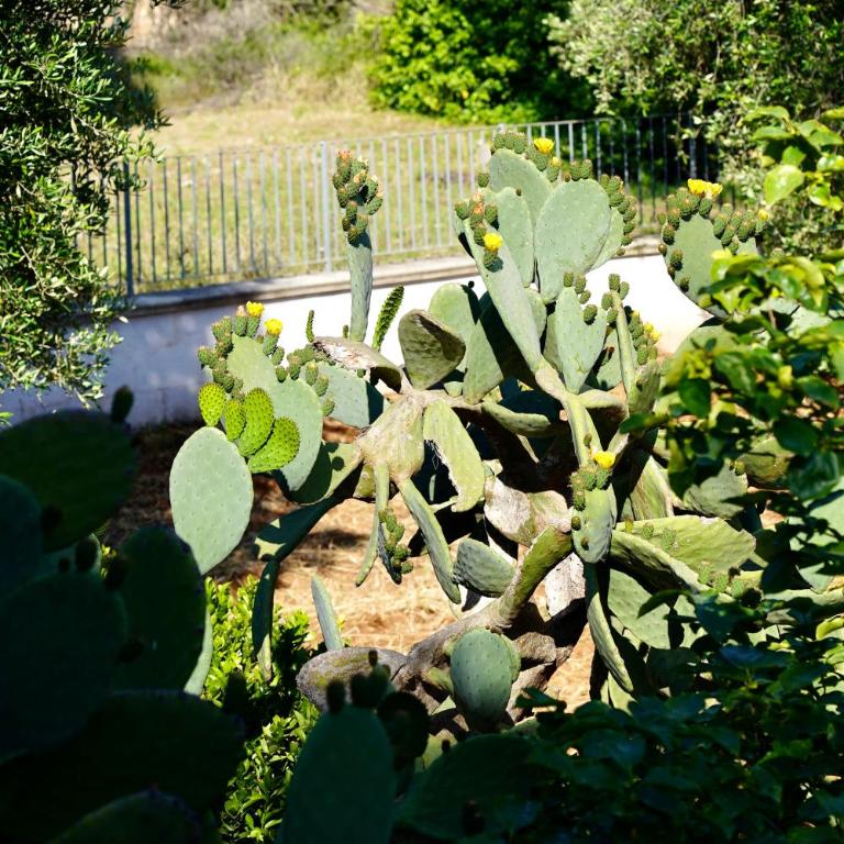 Il Giardino - Appartamento con 1 Camera da Letto - 25