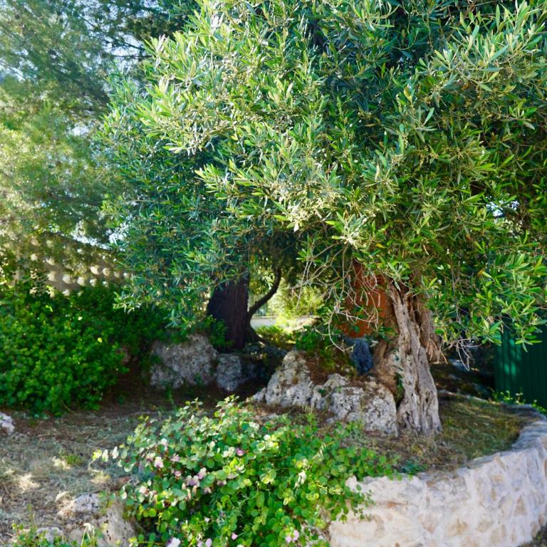 Il Giardino - Appartamento con 1 Camera da Letto - 27