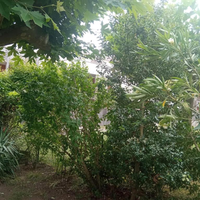 Rêve de Bisca Appartement spacieux climatisé avec jardin privatif piscine et parking privés - Appartement 1 Chambre - 53