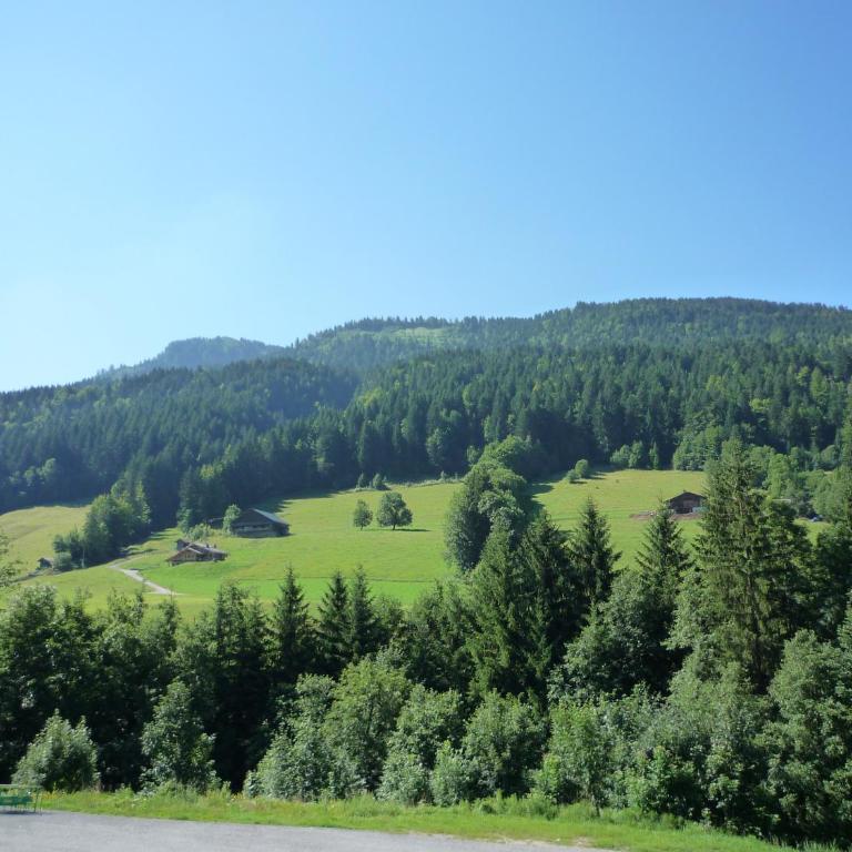 Aravis Locations - Apartment mit 2 Schlafzimmern - 10