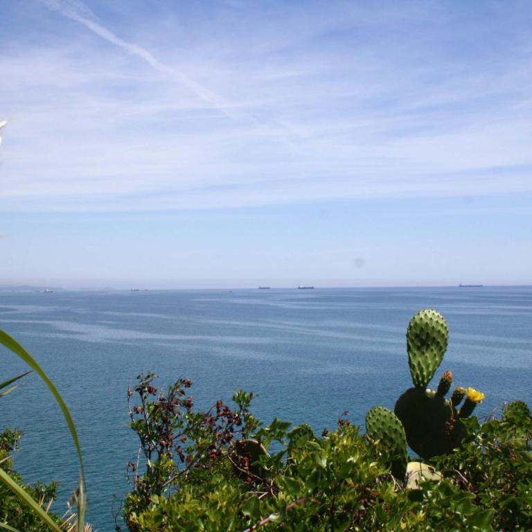 Ideal para descansar, cerca del mar! - Apartamento - 40