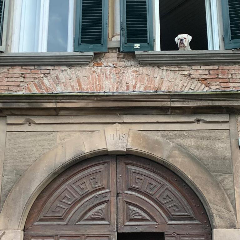 Valentino in San Francesco - Appartamento con 1 Camera da Letto - 2