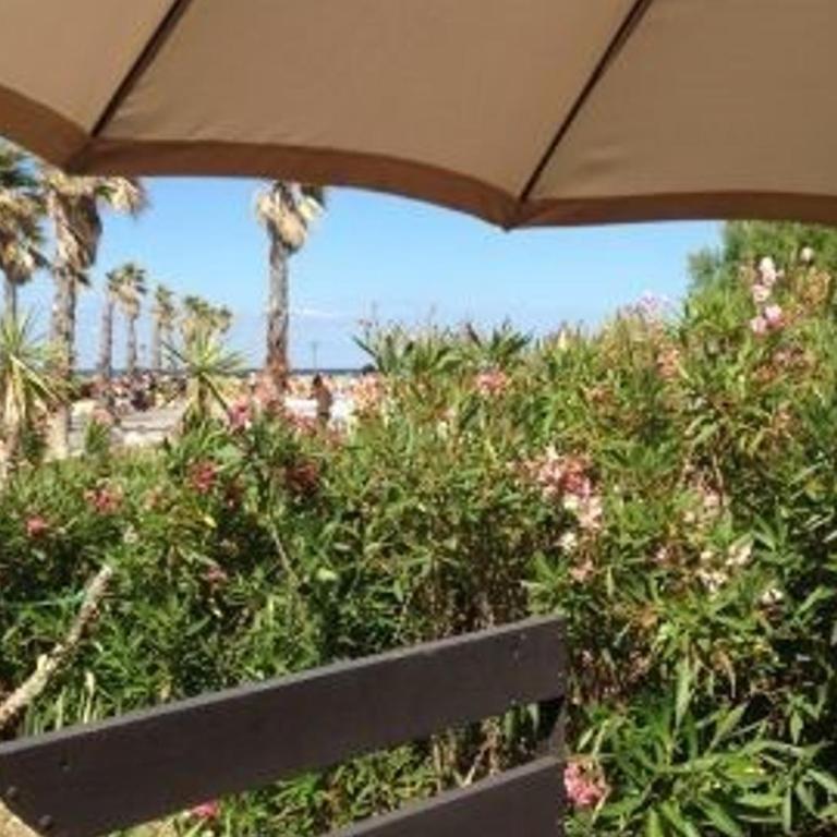 Villa 2 pièces, 4 couchages, face à la mer, parking privé, proche commerces, plage à 300m. - FR-1-81-474 - Villa - 8