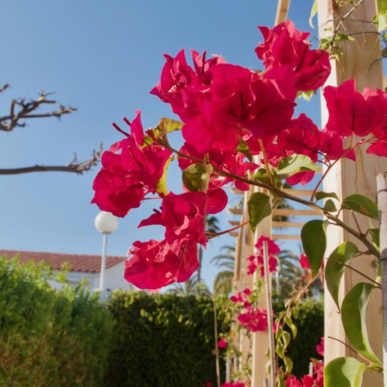 Casita blanca near yumbo - Apartamento de 1 dormitorio - 21