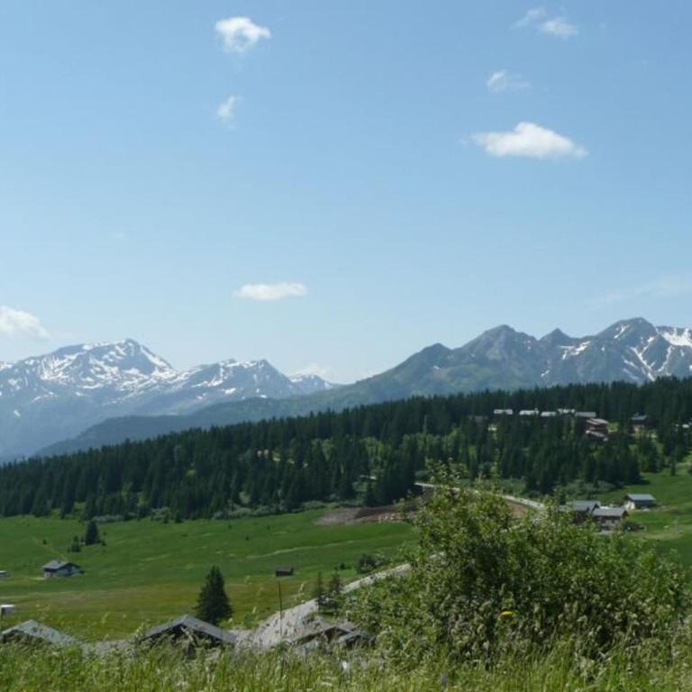 Chalet 3 pièces Les Saisies pour 8 personnes - FR-1-594-55 - Apartment (8 Erwachsene) - 3