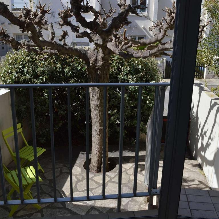 Studio Climatisé 4 Pers au Grau-du-Roi - FR-1-250-159 - Apartamento (4 adultos) - 2