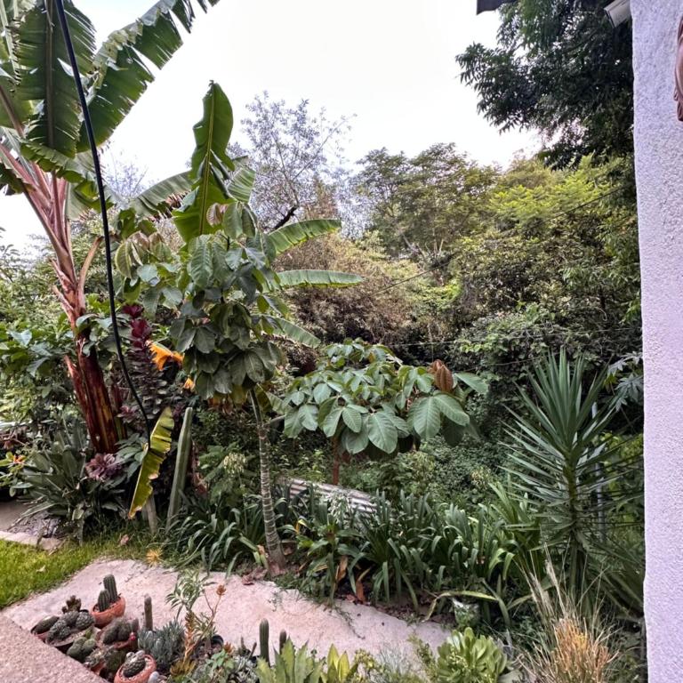 Cabaña Campestre en Oaxaca - Apartamento de 1 dormitorio - 26