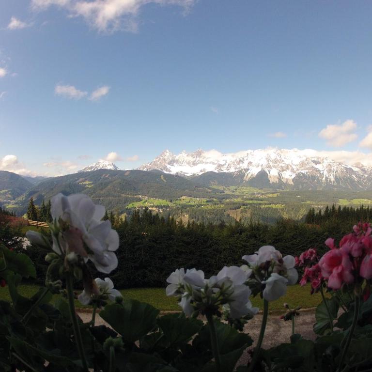 Appartements Wilma - Apartment mit Blick auf die Berge - 39