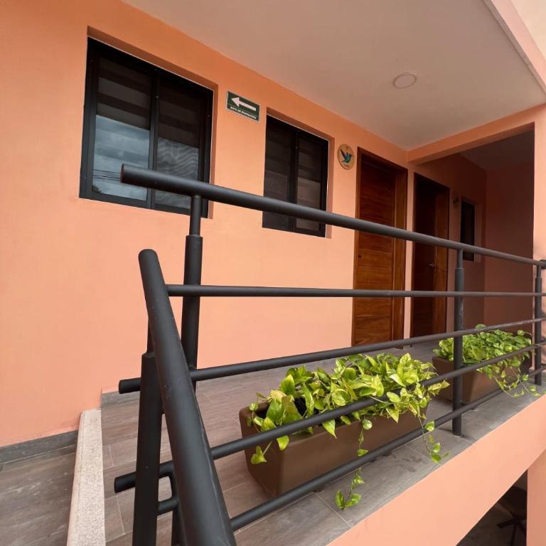 rooms7 - Apartamento - 1
