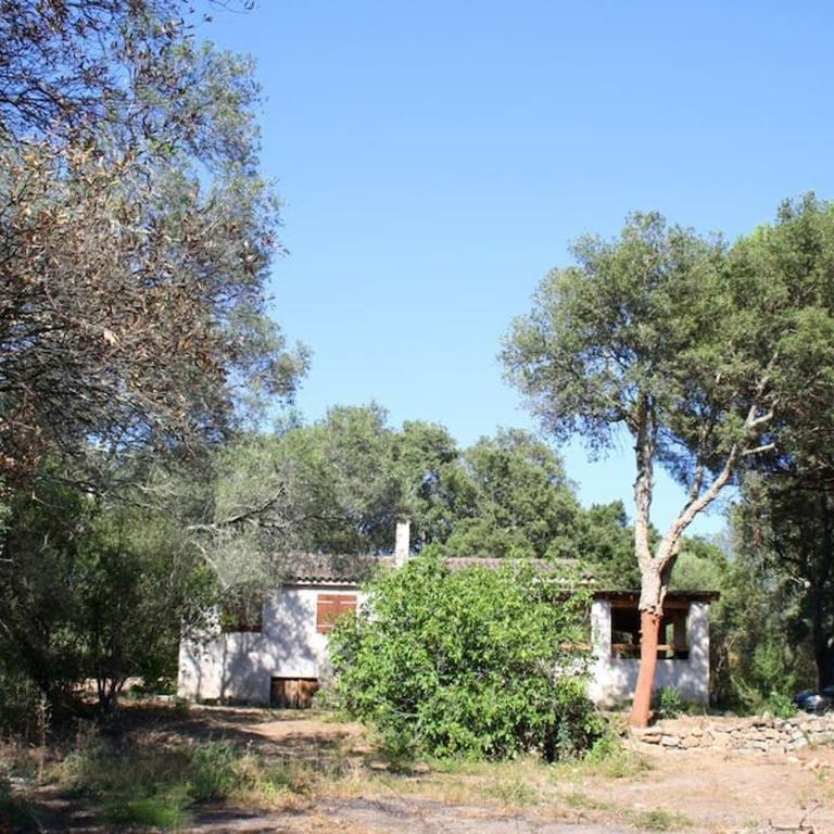 QUIET COTTAGE NEAR CITY CENTER - Casa con 2 Camere da Letto - 1